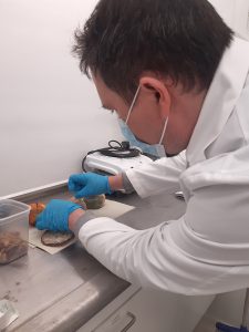 A student is taking a test from a moldy mandarin.