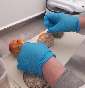 Student is taking a test from moldy mandarin.