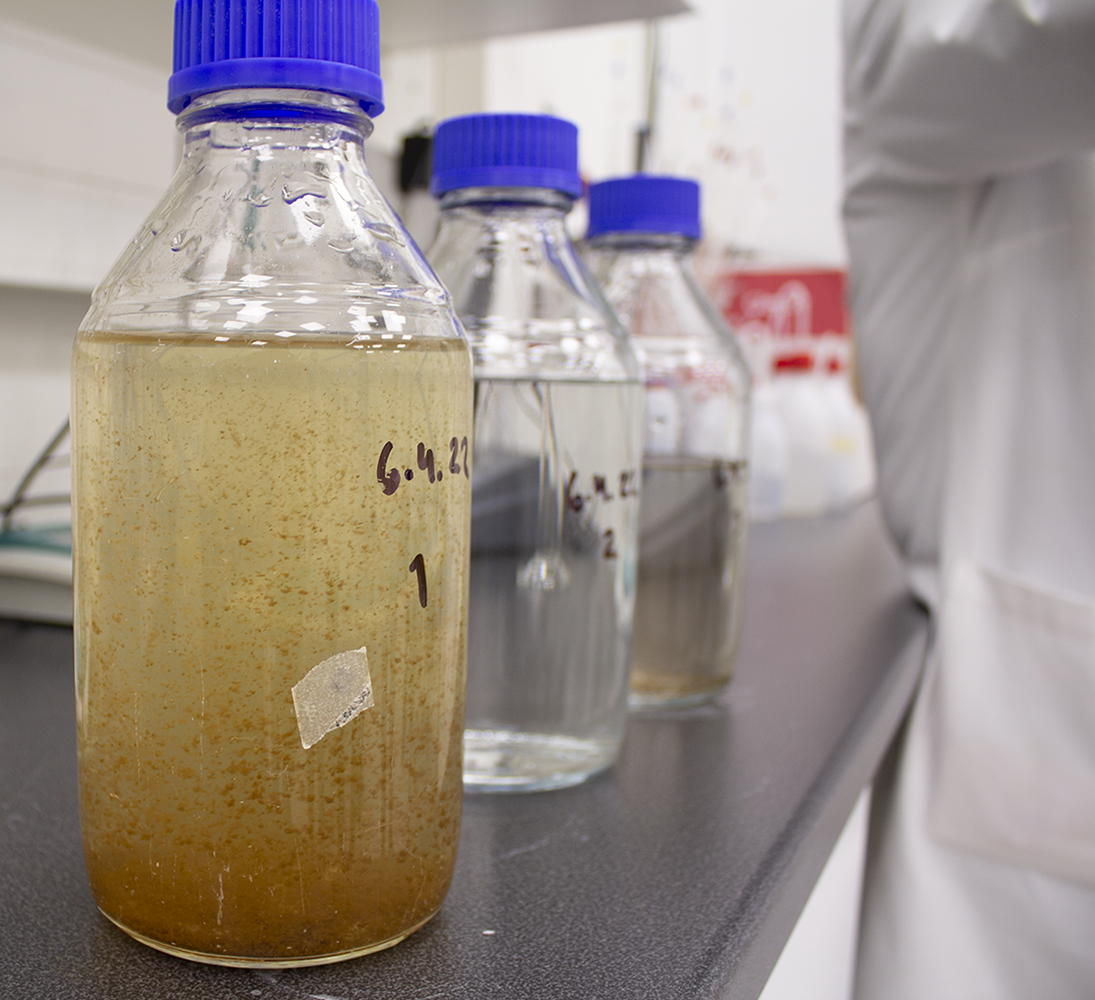 There's three bottles on the table with sediment.