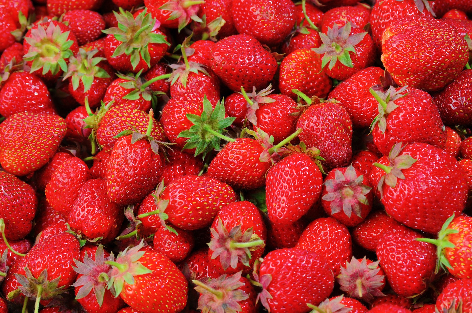 Ripe Strawberries.