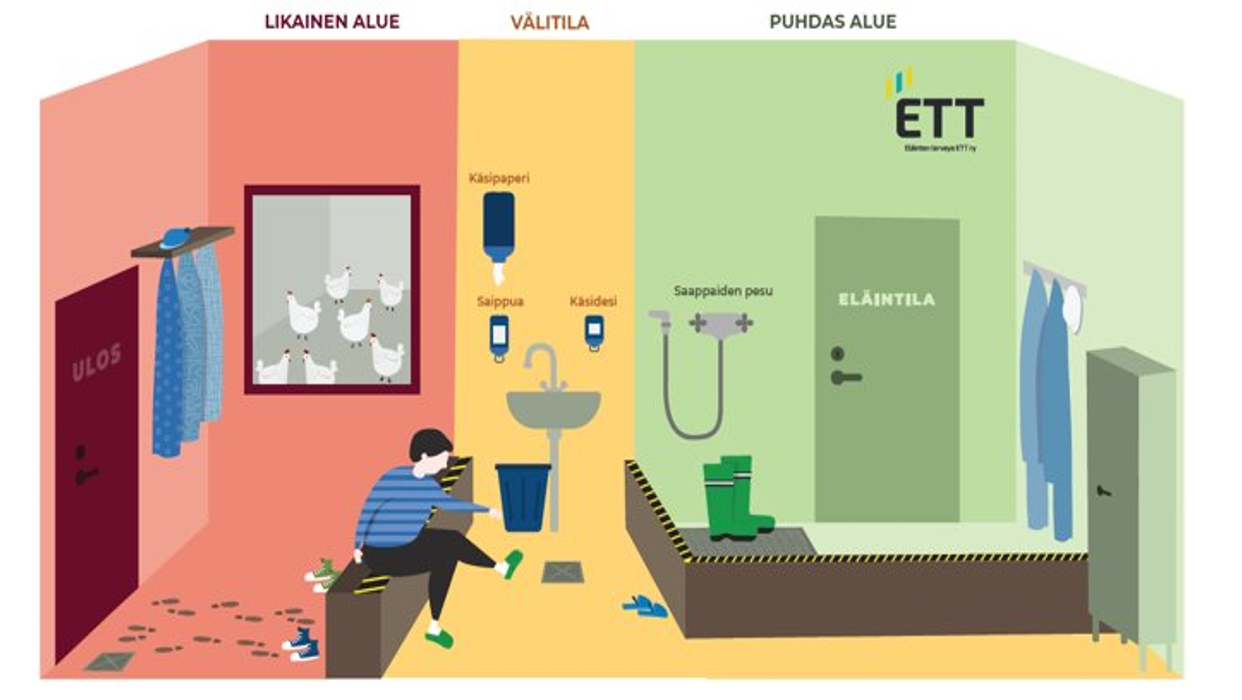 Animoidussa kuvassa näkyy tautisulkualue helposti ymmärrettävässä muodossa.